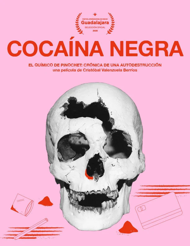 Afiche de Cocaína negra