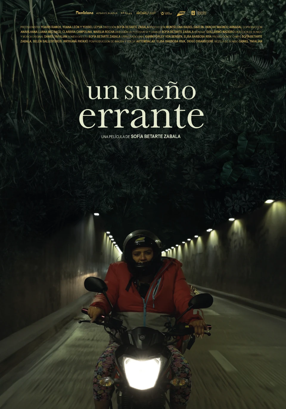 Afiche de Un sueño errante