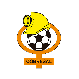 Escudo de Cobresal