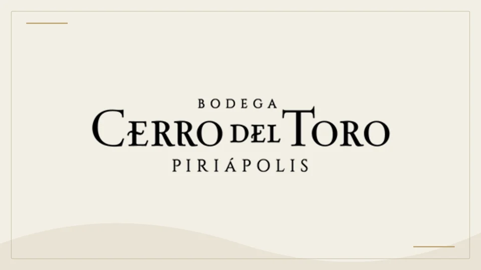 Logotipo oficial de Bodega Cerro del Toro, reproducido para identificación en una ficha informativa.
