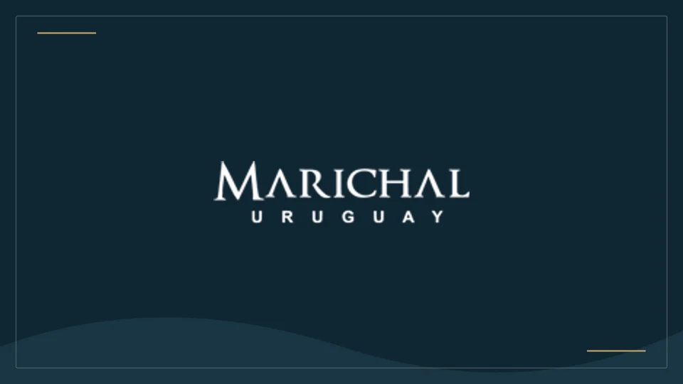 Logotipo oficial de Marichal Wines, reproducido para identificación en una ficha informativa.