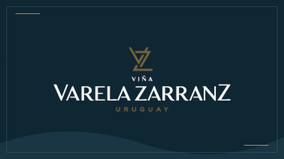 Logotipo oficial de Viña Varela Zarranz / Bodegas Vudú, reproducido para identificación en una ficha informativa.